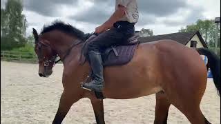 Ad ref 278734   Video 2