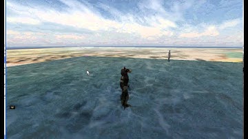 RealmCrafter Standard 1.26   Water reflection