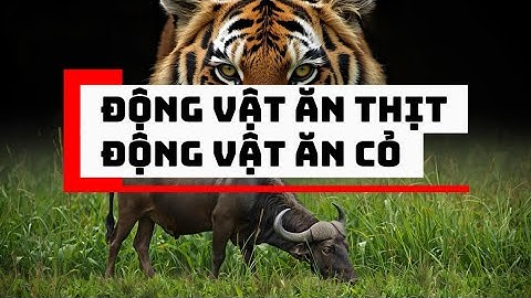 Tư duy Người nghèo và người giàu #baihoccuocsong #trietlysong #life #podcast