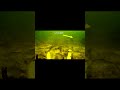 falstart szczupaka#shorts #szczupak #jezioro #fishing #fish #dc #fyp #shortvideo #ciekawostki#dc