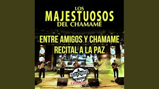 Video thumbnail of "Los Majestuosos Del Chamamé - Entre Amigos y Chamamé / Recital a la Paz (En Vivo)"