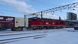 2019.02.09 貨物列車（4094列車）秋田駅到着 ※秋田駅約1時間30分遅れ