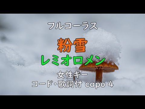 カバー85『粉雪/レミオロメン』弾語りコード歌詞付き 小杉あんこ