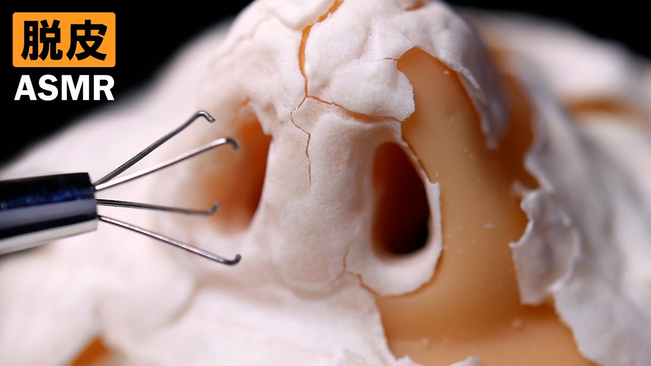 ASMR | Удовлетворен! Ролевая игра «Отказ от носа, пупка и ушей с помощью специального оборудования»