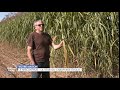 Reportage  la chaudire au miscanthus de saintmardsdeblacarville