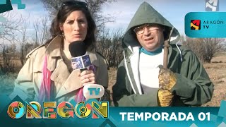 OTV T01 PGM04 LOS PERCEBEIROS DEL MONCAYO