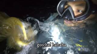 SPEARFISHING AT NIGHT GIANT CUTTLEFISH | 3rd Night Dive in Bohol Island, Philippines