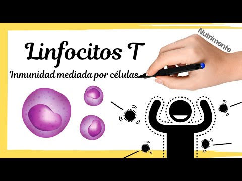 Vídeo: Diferencia Entre Inmunidad Mediada Por Células Y Mediada Por Anticuerpos