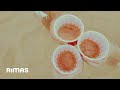 De La Rose Mora Sharif Rafael Maya Remix Visualizer De La Rose Mora Sharif Rafael Maya Remix Visualizer