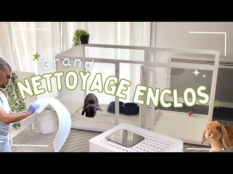Enclos pour lapin - Grand nettoyage 🐰🧼