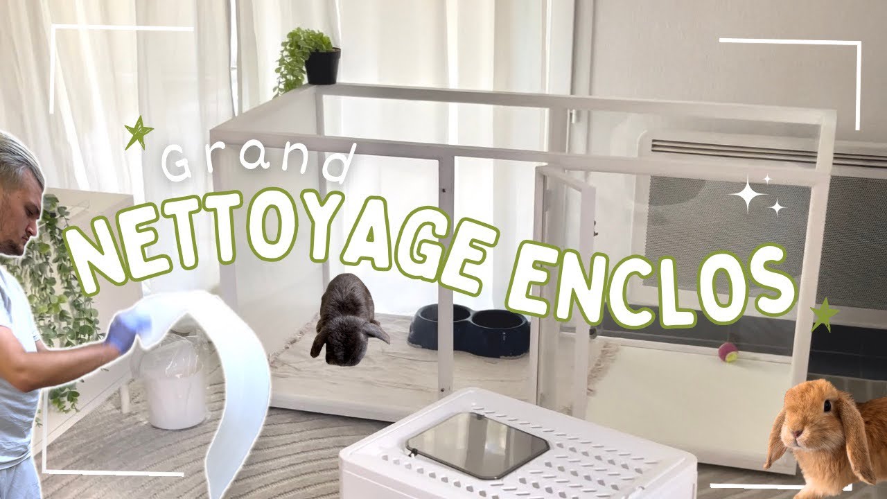 Enclos pour lapin - Grand nettoyage 🐰🧼