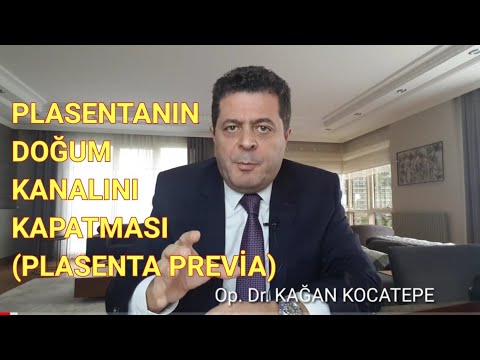 Video: Bir anaokulu öğretmeninin mesleki ilgi alanları