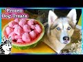 STRAWBERRY WATERMELON DOG TREAT | How to make Frozen DIY Dog Treats  | Snacks with the Snow Dogs 82