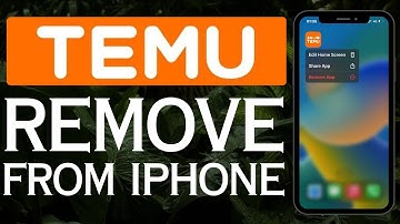 How To Remove Temu App From iPhone (2025)
