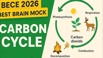 2026 BECE Best Brain Science Mock Questions on Carbon Cycle