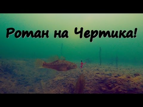 ловля на безмотылку ротана