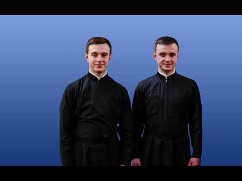 Я йшов самотній через темний ліс