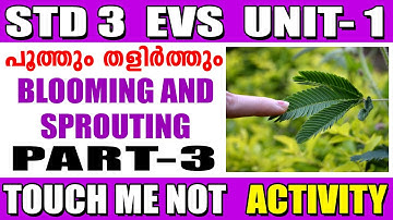 STD 3 CLASS 3 EVS UNIT 1 Touch me not BLOOMING and SPROUTING PART 3 POTHUM THALIRTHUM