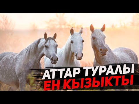 Фото: Жалаңаш әйел кафеге келді