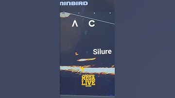 Sonde MEGA LIVE IMAGING, refus d