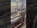 Overseas customers on-site #machine #potato