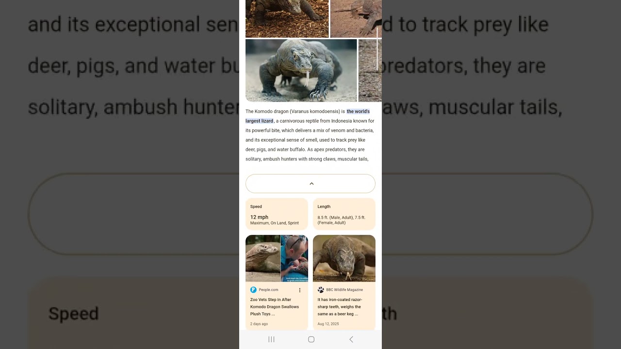 *💭DREAM*, Pilate Wife's Dream, Komodo Dragon (satan), Lying Spirit, Saul Overthrow, Jesus Tables