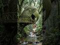 Bamboo Parrot Treehouse Survival 🦜🌿#bamboohouse #short