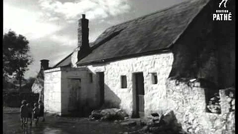 Ennis (1949)