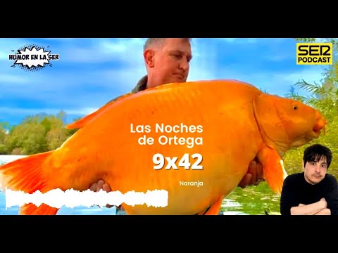 Las Noches de Ortega | 9x42 | Naranja