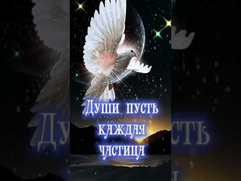 Прощёное воскресенье!#праздник#церковь#прошу#прощения#бог#простит
