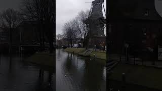 Winter Panorama In Amsterdam, Winter