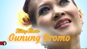 Nining Meida - Gunung Bromo  (Official Music Video)