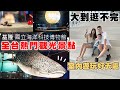 全台第一個海洋室內親子樂園 三層樓高溜滑梯 大到可以玩一整天【Bobo TV】