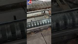 Galvanized Iron Square Stainless Steel Bird Cage Welded Wire Mesh
