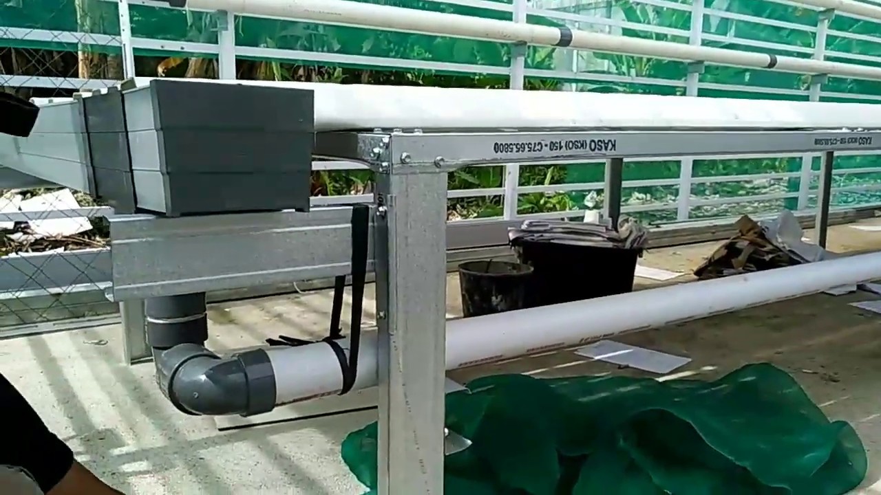 #2 (finish) PEMBUATAN INSTALASI HYDROPONIC NFT PIPA PVC GULLY - YouTube