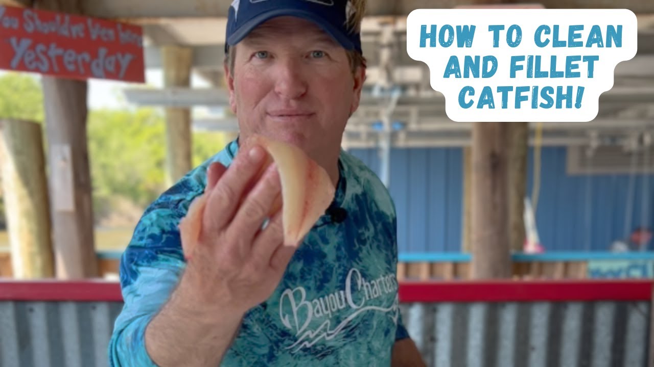 How to Clean and Fillet Catfish! YouTube
