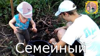 Трейлер. Семья Теклиных. Трейлер. Семья Теклиных.