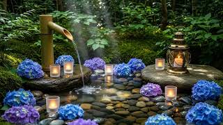 Soothing Piano & Nature Water 🌿 Relaxing Music for Yoga & Meditation screenshot 3