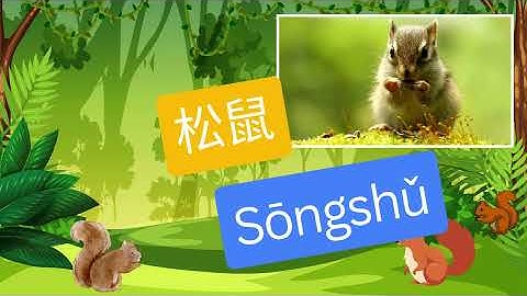 Bé học phát âm con sóc| Bé học phát âm tiếng Việt, tiếng Anh, tiếng Trung | Học cùng Minh Đức