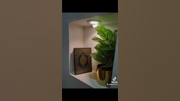 ٢٤ يوليو ٢٠٢٢تلاوة خاشعة الشيخ انس المالك