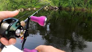 Top-Water Bass Fishing the Connecticut River
