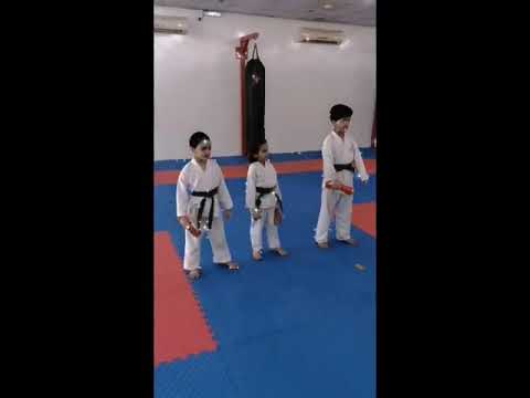 كاراتيه اطفال الترقية للحزام الأخضر الابطال زكريا انور لامي احمد عبدالله مفيد