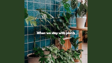 Incredible Brave Keynotes