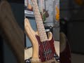 Sadowsky Basses Metroline 22 fret Will Lee Artist