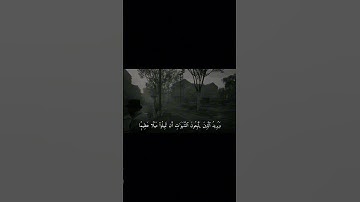 قران كريم #ارح_قلبك #قران_كريم #محمد_اللحيدان 💞