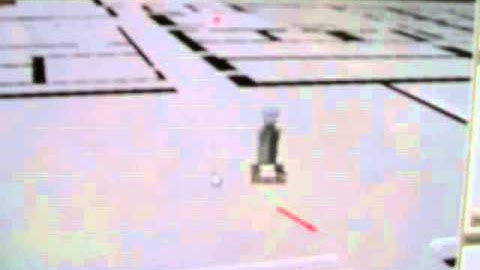 Real Robot + Pr2 Simulation