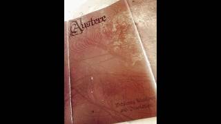 The Dawn Remains Silent : AUSTERE : Withering Illusions And Desolation (MC) Wintereich