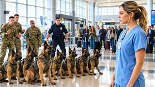 Just an ER Nurse They Said —Until Her Secret Military K9 Skills Stopped a Terminal Threat