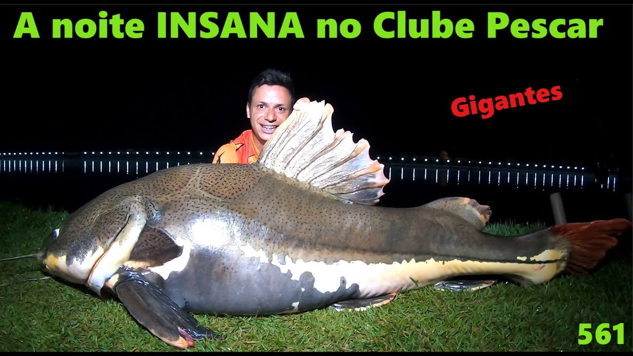 Clube Pescar - A noite INSANA com os gigantes - Fishingtur na TV 561