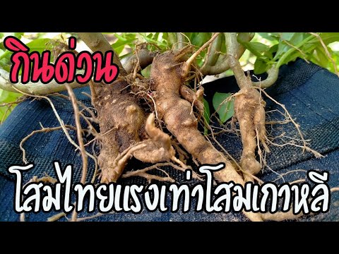 ต้มข่าไก่ หอมสมุนไพร รสชาติกลมกล่อม| lailachillchill เมนูง่ายๆ สูตรอาหารไทย. 